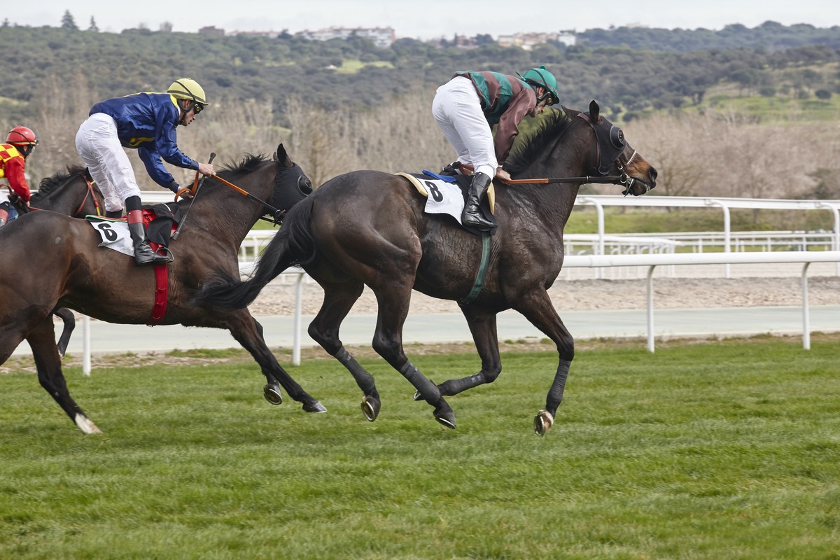 FL925184Z – Pari-Mutuel Wagering (PMW)
